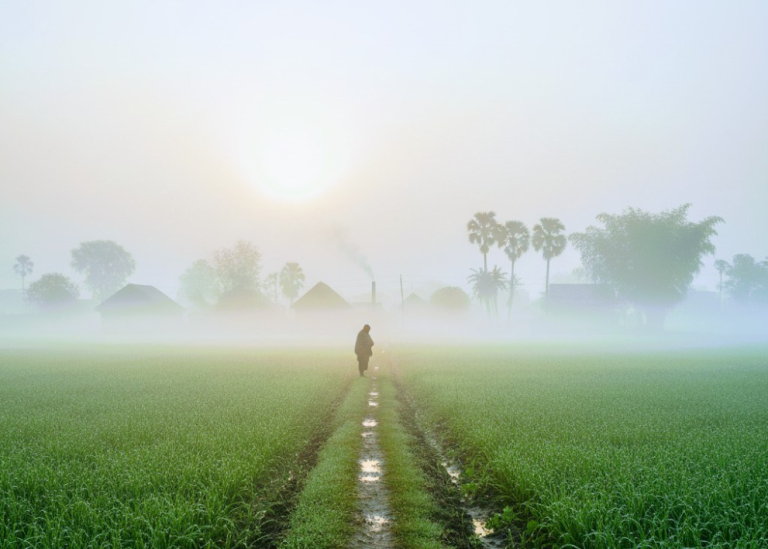 Read more about the article শীতের  আমেজ আরো বৃদ্ধির সতর্কতা!!